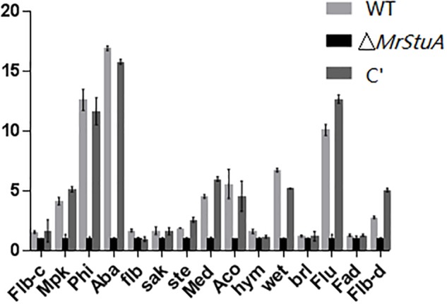 FIGURE 3