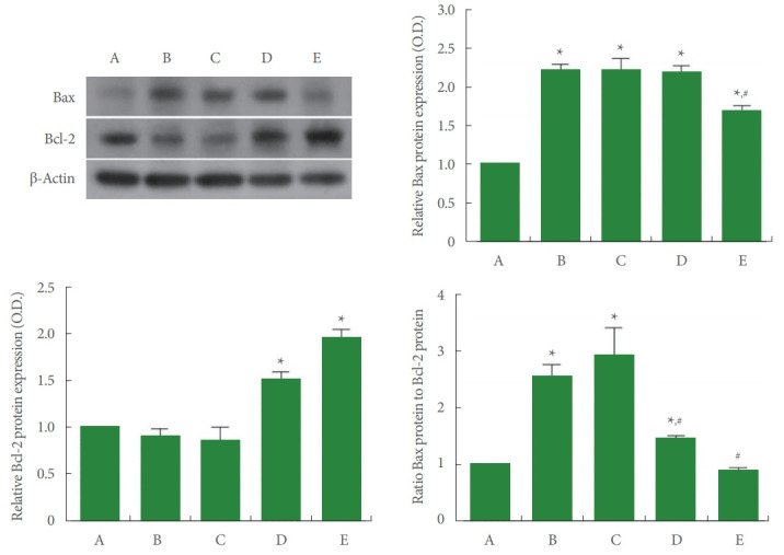 Fig. 8.