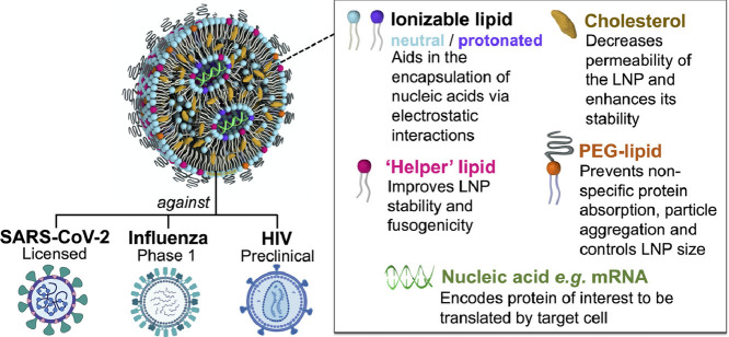 Image, graphical abstract