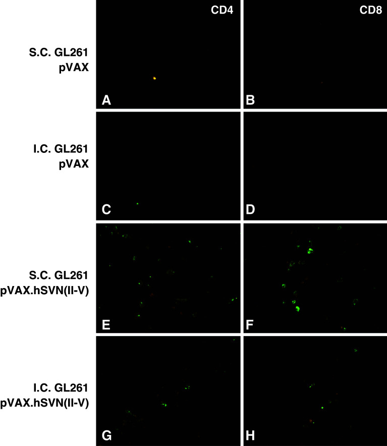 Fig. 6