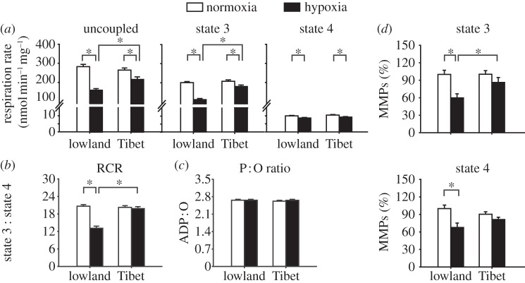 Figure 2.