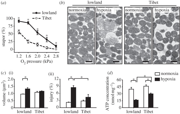 Figure 1.