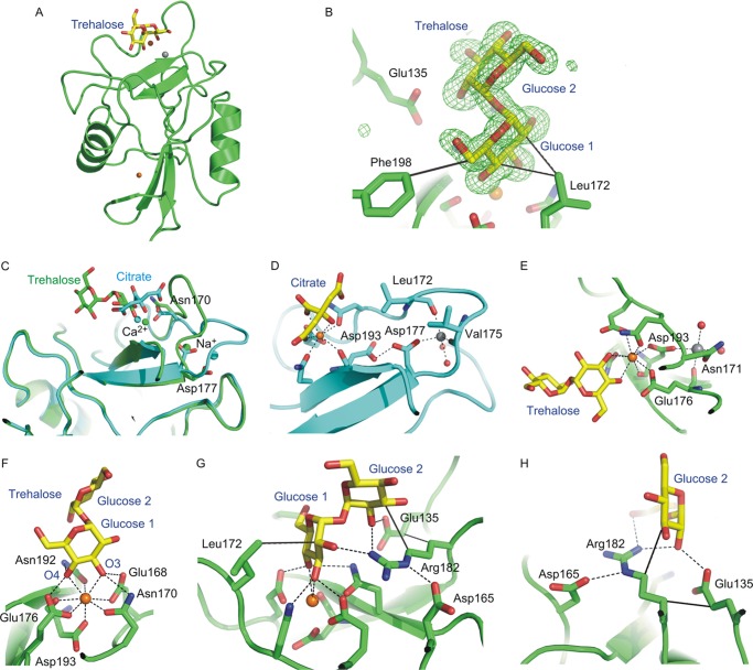 FIGURE 4.