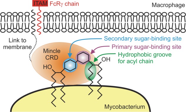 FIGURE 10.