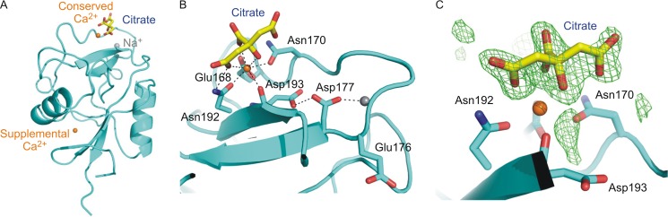 FIGURE 3.