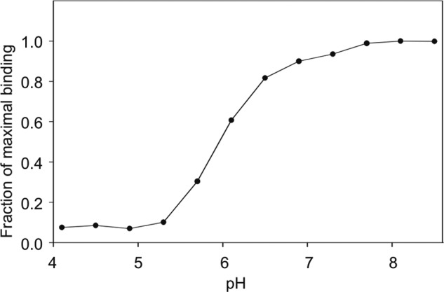 FIGURE 5.