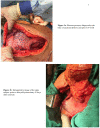 Supplementary Fig. 2
