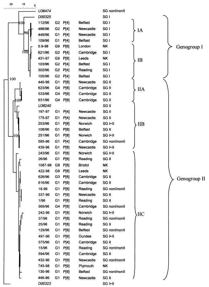 FIG. 1.