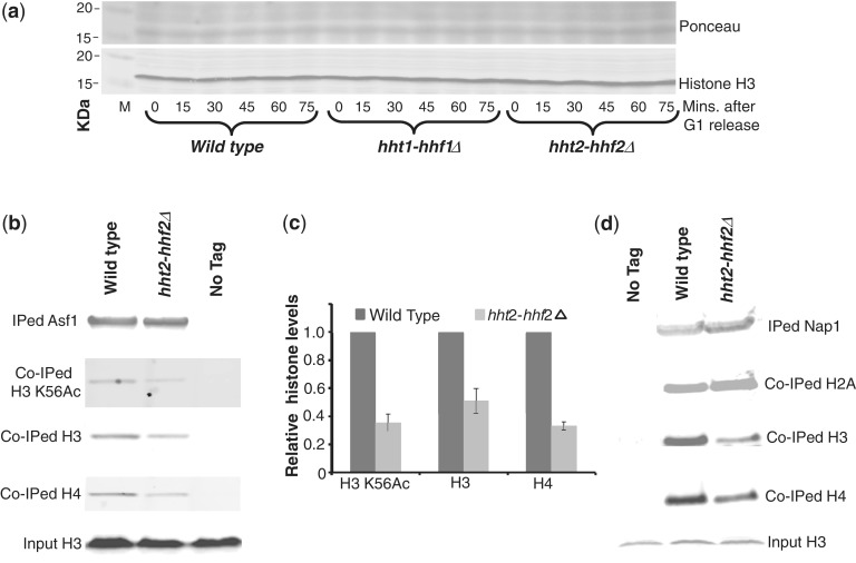 Figure 2.