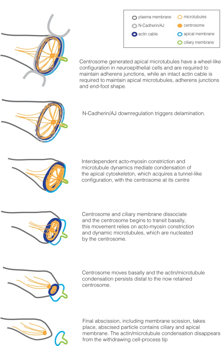 Figure 10.