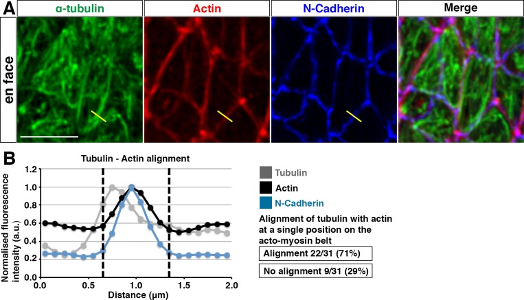 Figure 1—figure supplement 1.