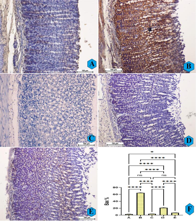 Fig. 6