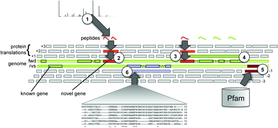 Figure 6.—