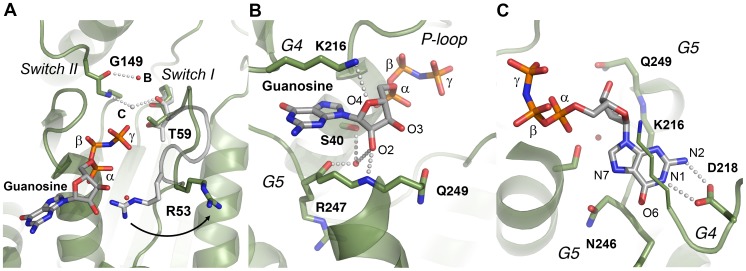 Figure 5