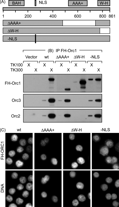 FIGURE 9.