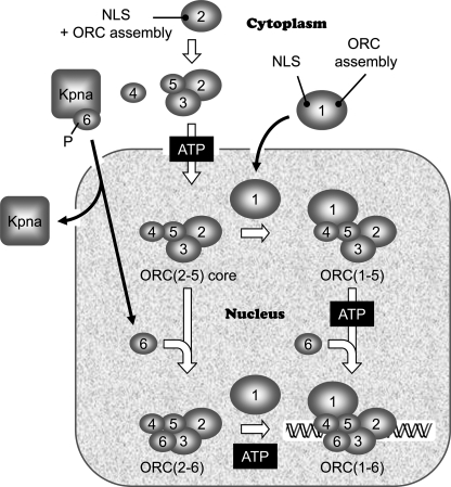 FIGURE 10.