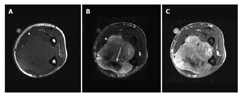 Figure 13