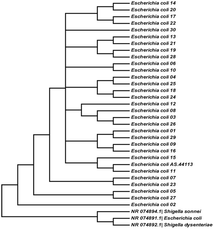 Figure 6