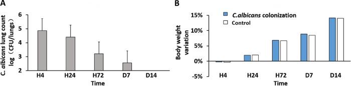 FIG 1