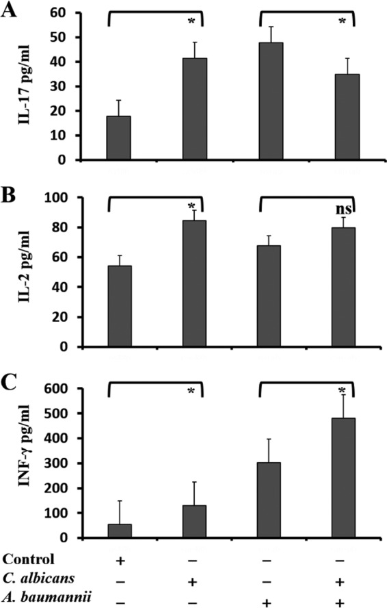 FIG 5