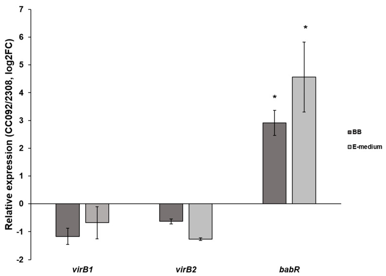 Figure 6