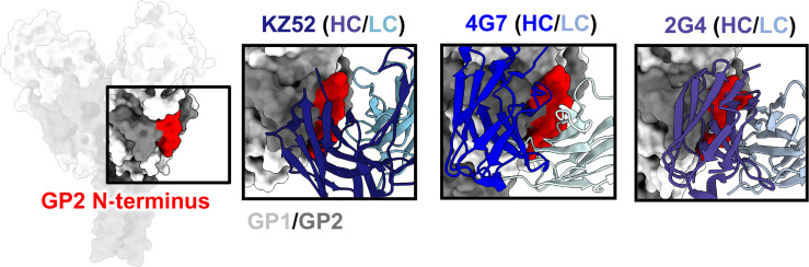 Figure 5