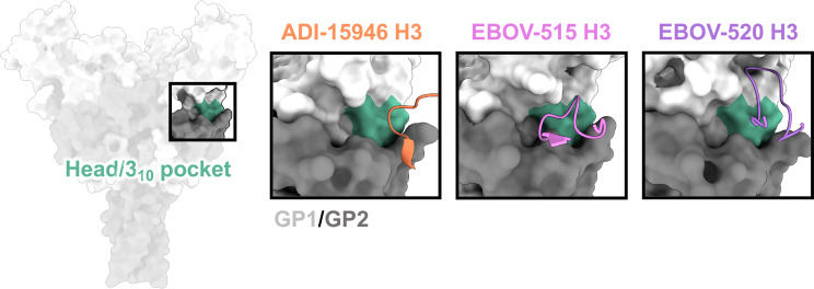 Figure 4