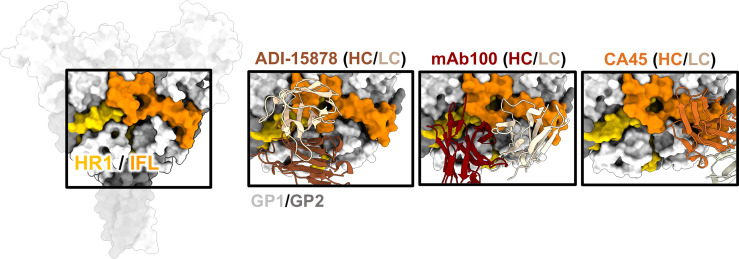 Figure 6