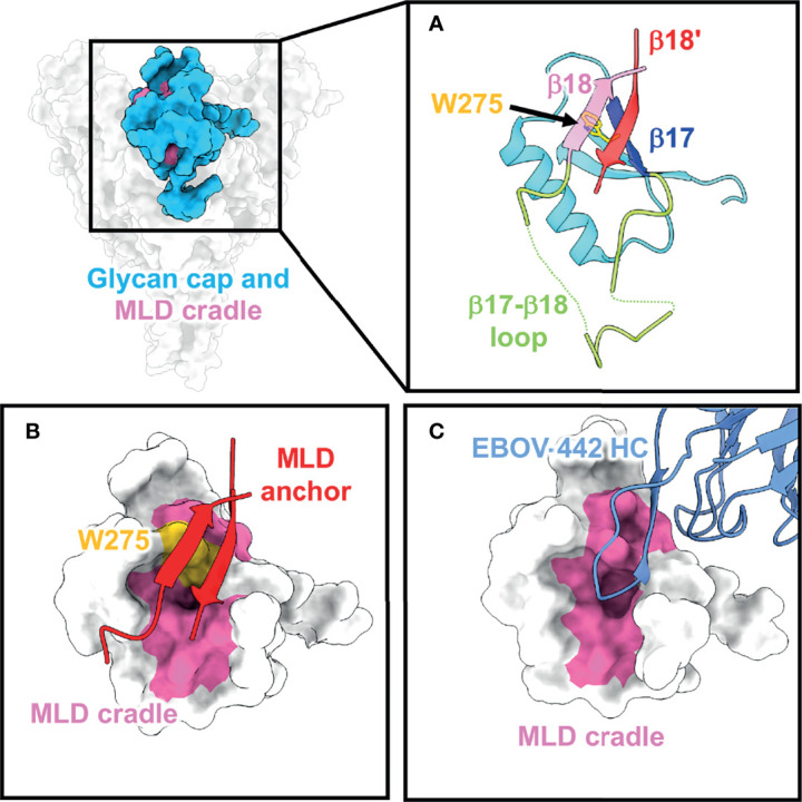 Figure 2