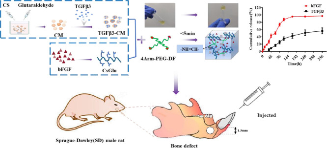 Image, graphical abstract