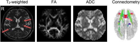 Fig. 9