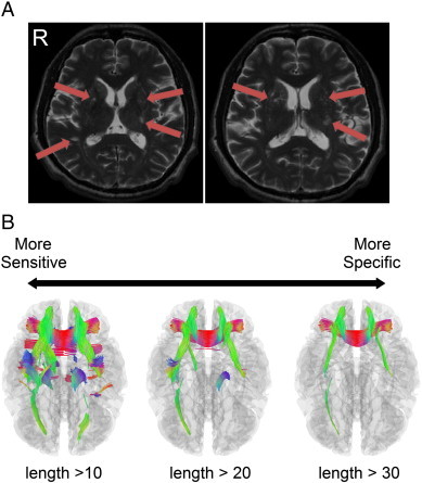 Fig. 7