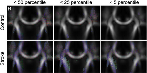 Fig. 3