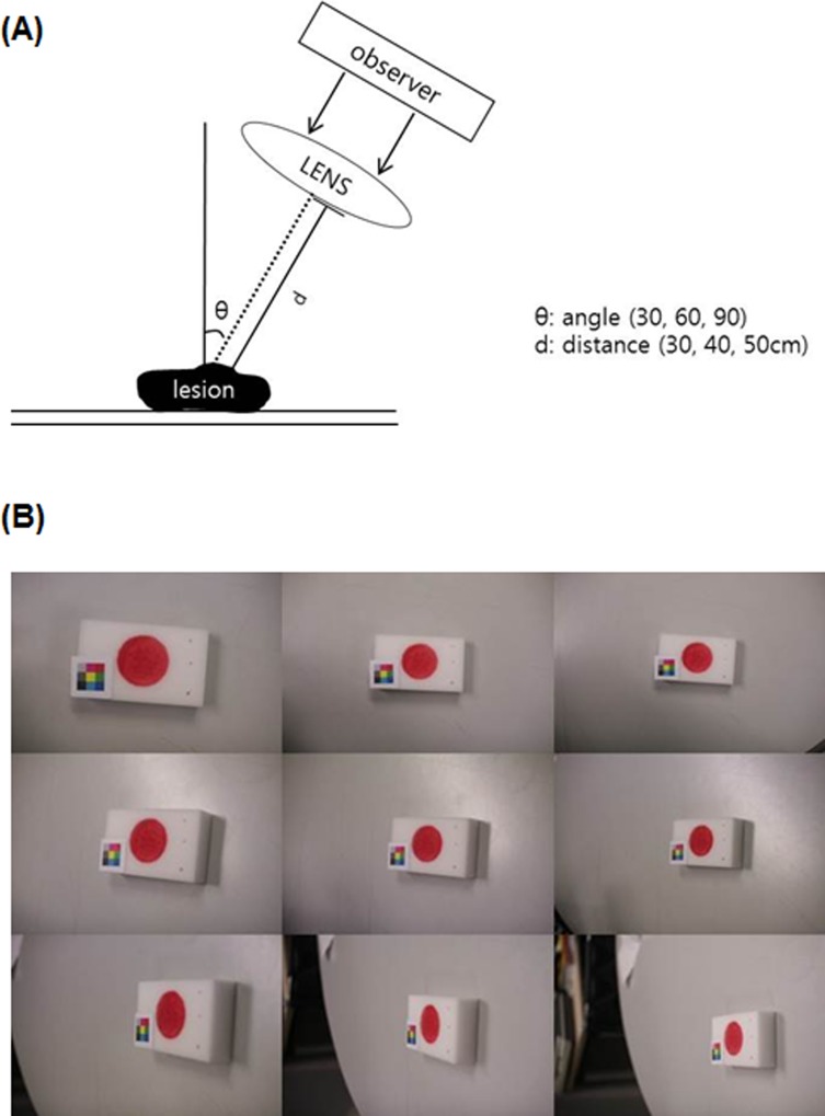 Fig 3