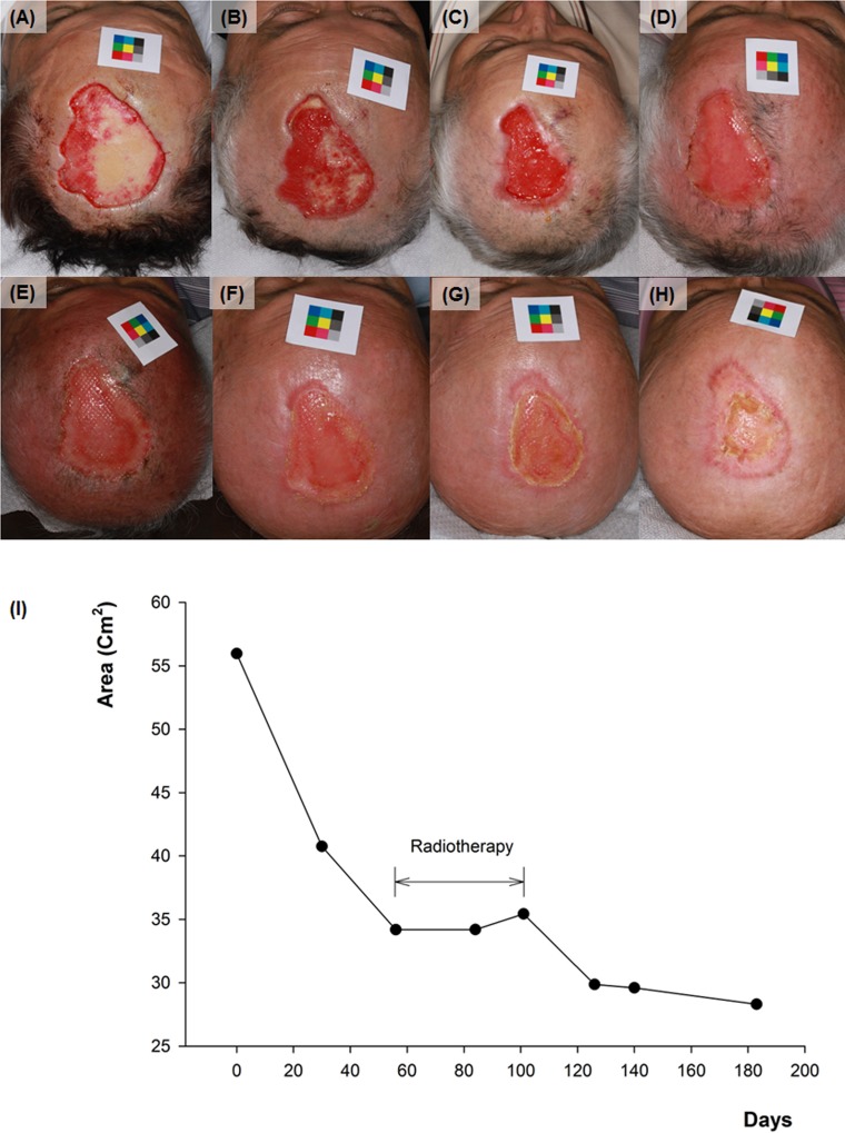 Fig 7