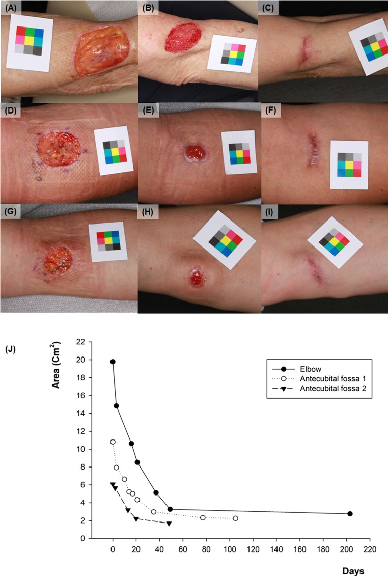 Fig 6