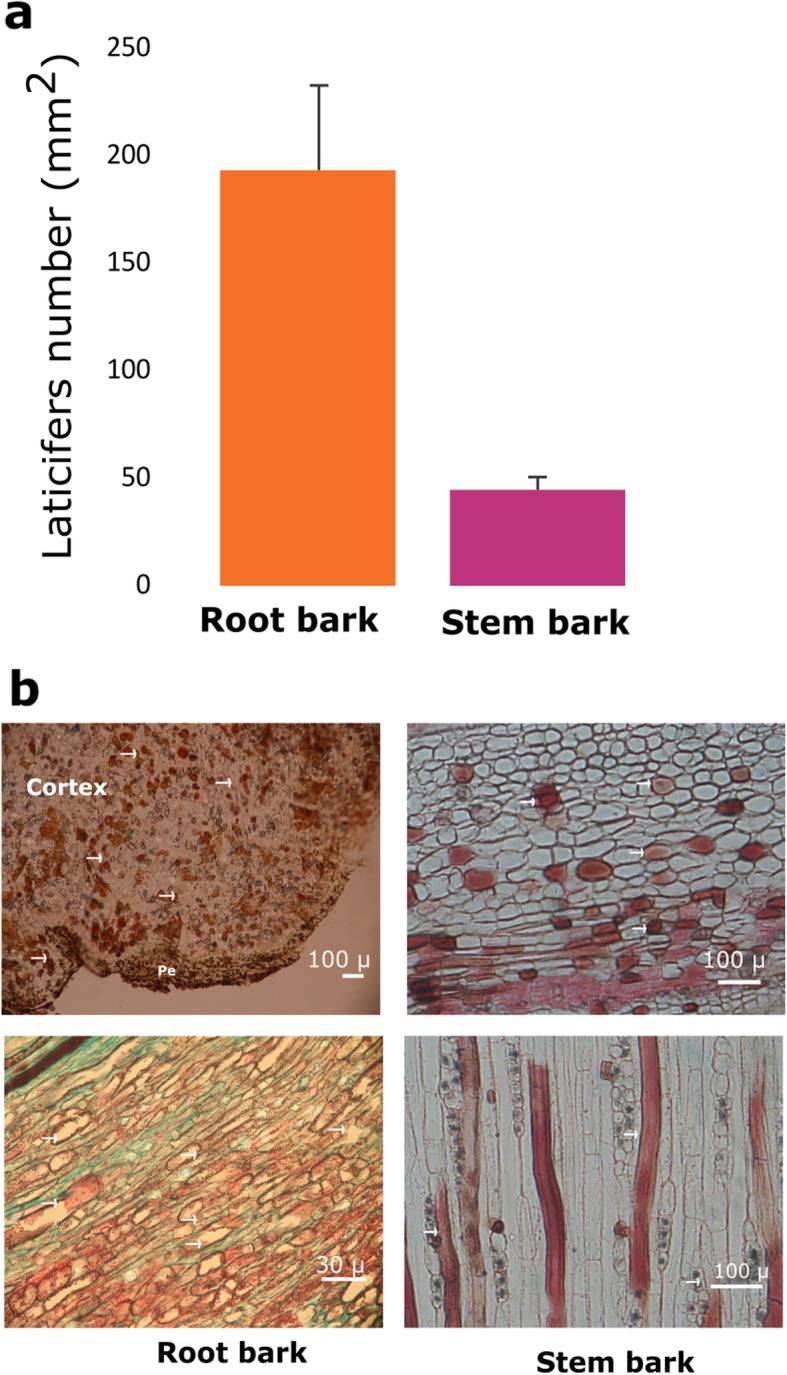 Fig. 9