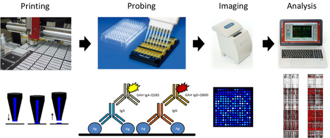 Figure 2: