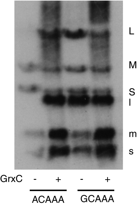 Fig. 5.