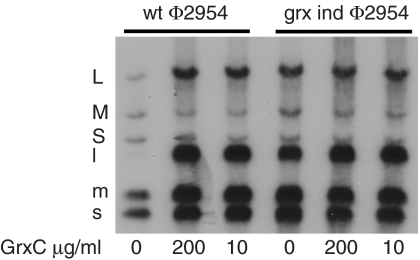 Fig. 4.