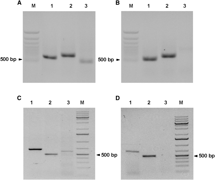 Figure 4