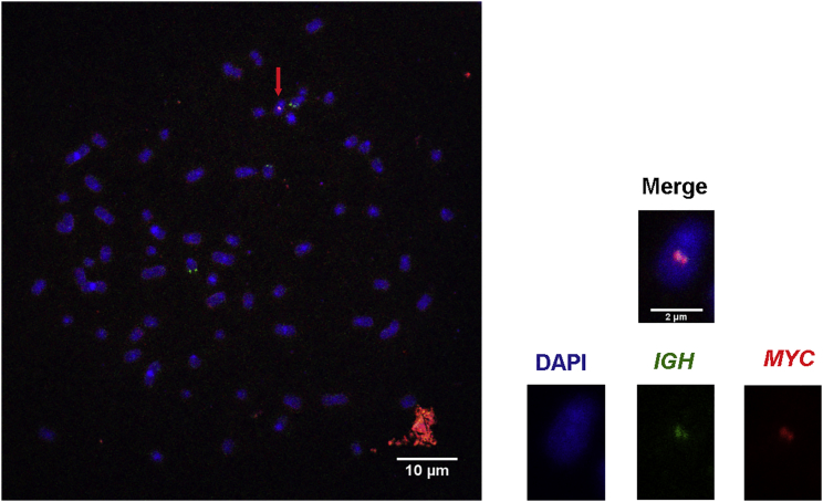 Figure 2