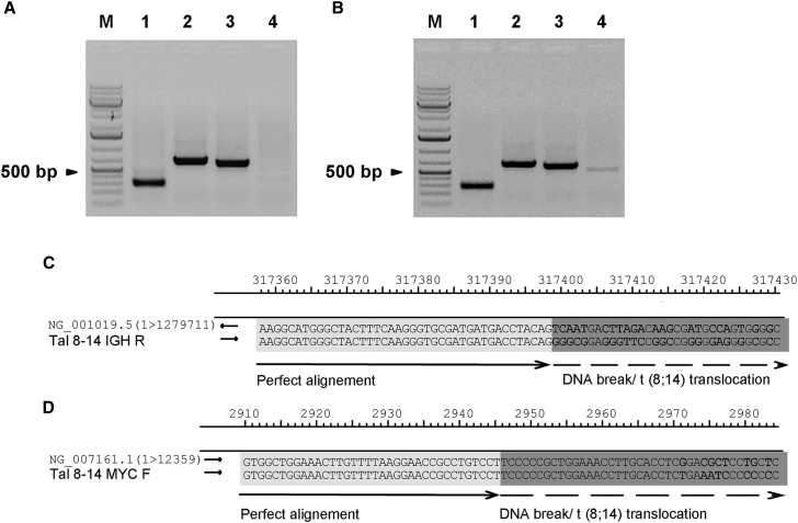 Figure 1