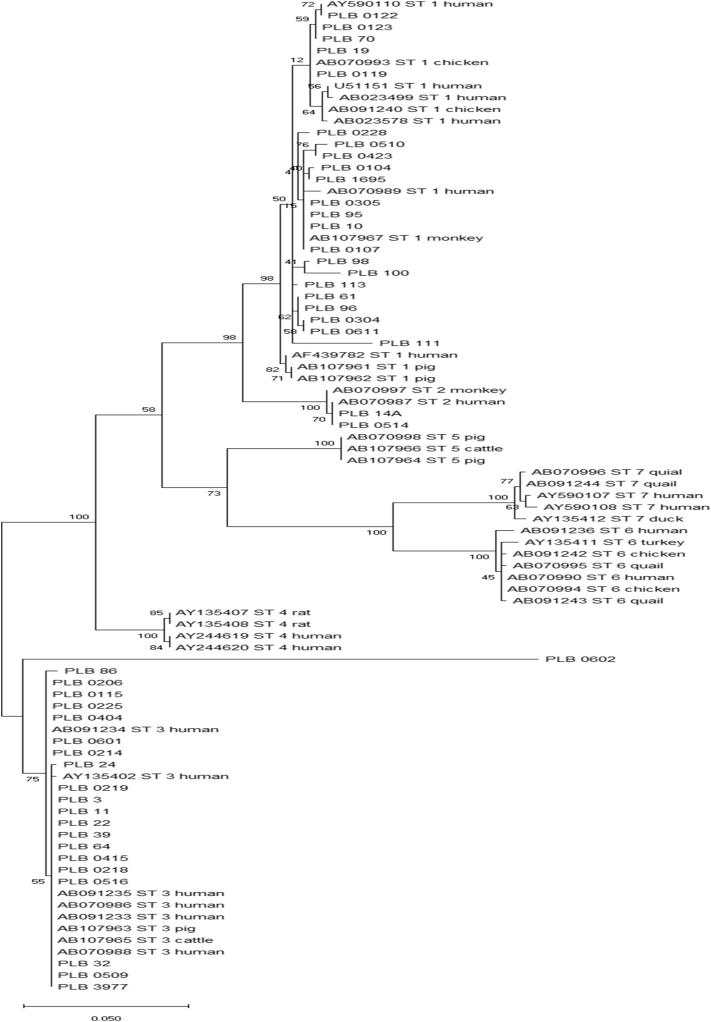 Fig. 2