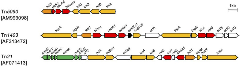 FIGURE 9