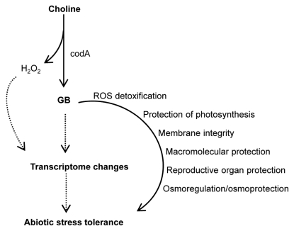 Figure 1.