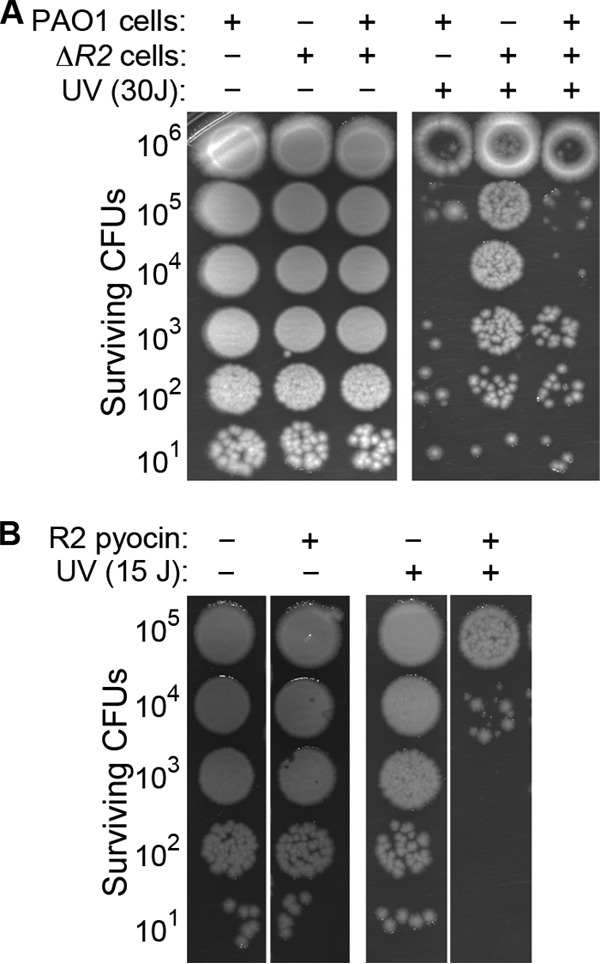 FIG 4