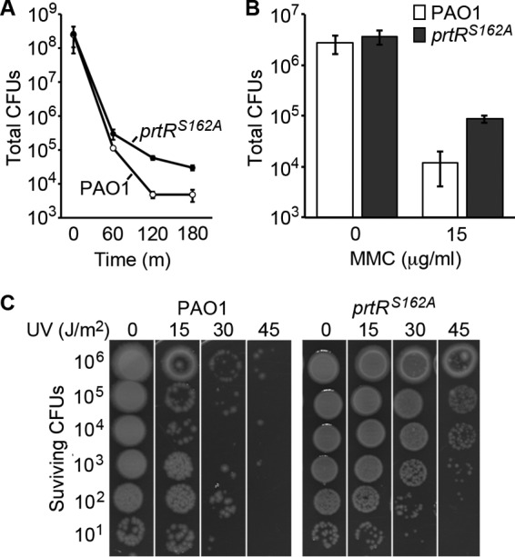 FIG 2