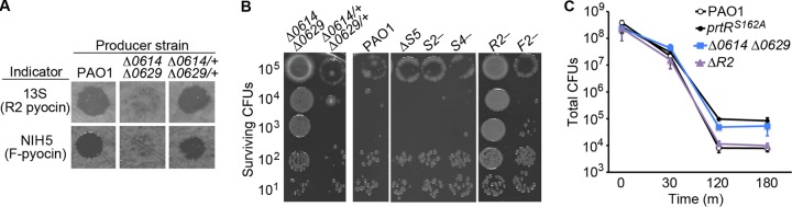 FIG 3