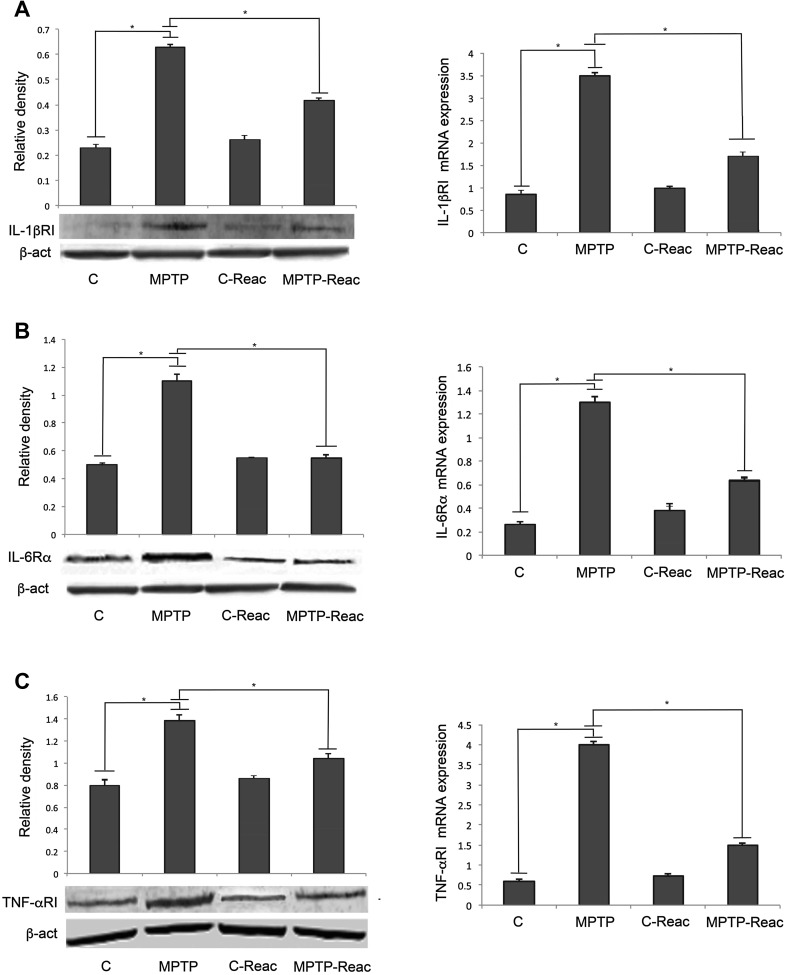 Fig. 4